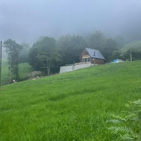 Zambula Trabzon